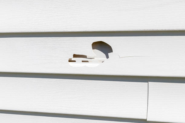 Best Historical Building Siding Restoration  in Lake Forest, CA